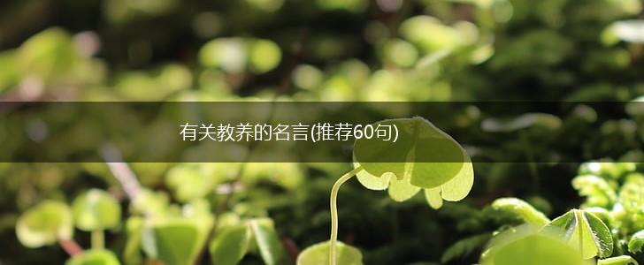 有关教养的名言(推荐60句),第1张 有关教养的名言(推荐60句),第1张