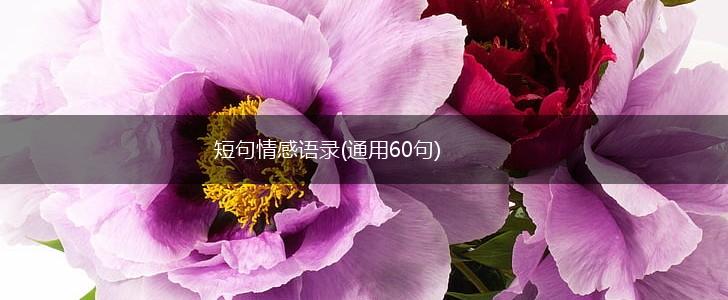 短句情感语录(通用60句),第1张