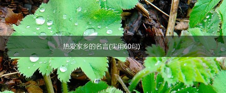 热爱家乡的名言(实用60句),第1张