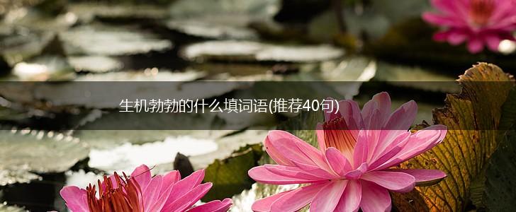 生机勃勃的什么填词语(推荐40句),第1张 生机勃勃的什么填词语(推荐40句),第1张