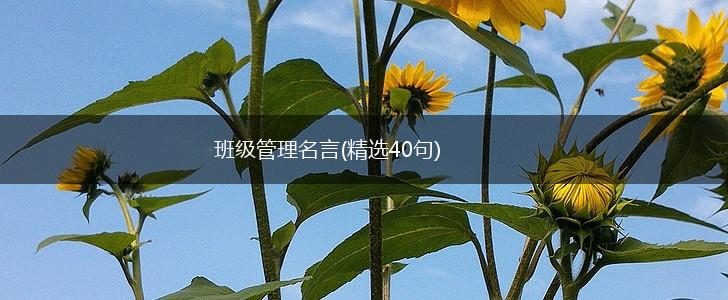 班级管理名言(精选40句),第1张