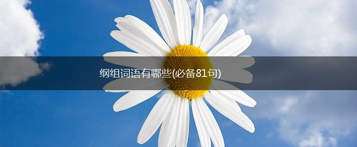 纲组词语有哪些(必备81句),第1张 纲组词语有哪些(必备81句),第1张