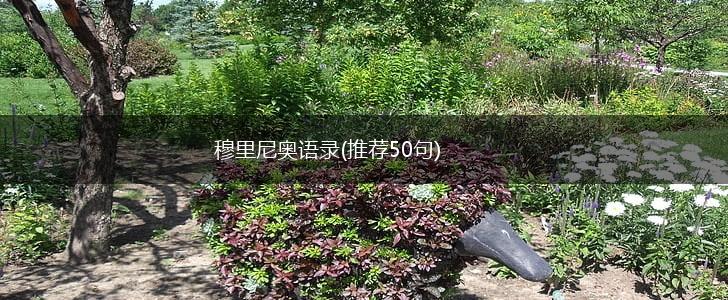 穆里尼奥语录(推荐50句),第1张