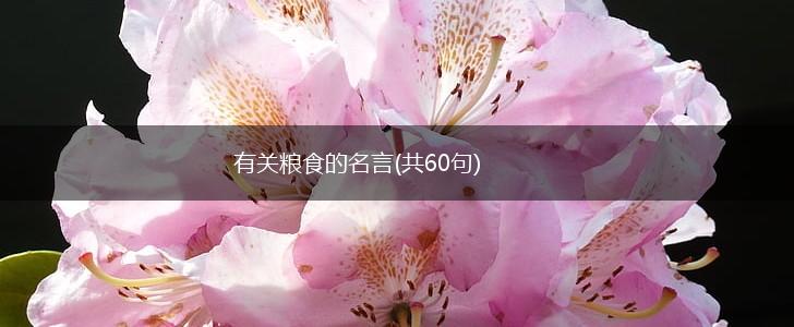 有关粮食的名言(共60句),第1张 有关粮食的名言(共60句),第1张