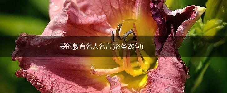 爱的教育名人名言(必备20句),第1张 爱的教育名人名言(必备20句),第1张