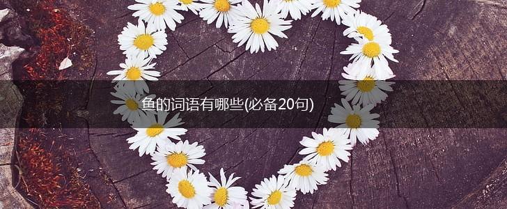 鱼的词语有哪些(必备20句),第1张