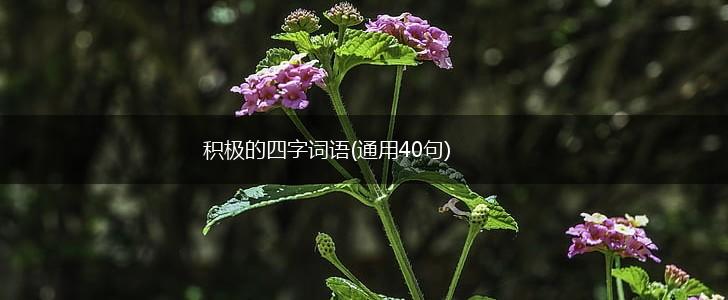 积极的四字词语(通用40句),第1张