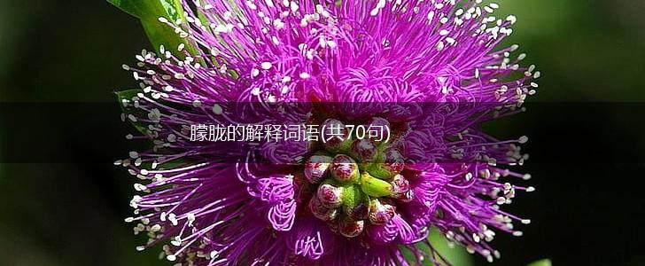 朦胧的解释词语(共70句),第1张