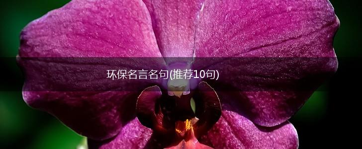 环保名言名句(推荐10句),第1张