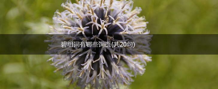 碧组词有哪些词语(共20句),第1张