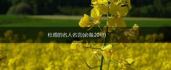 杜甫的名人名言(必备20句),第1张 杜甫的名人名言(必备20句),第1张