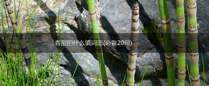 香甜的什么填词语(必备20句),第1张