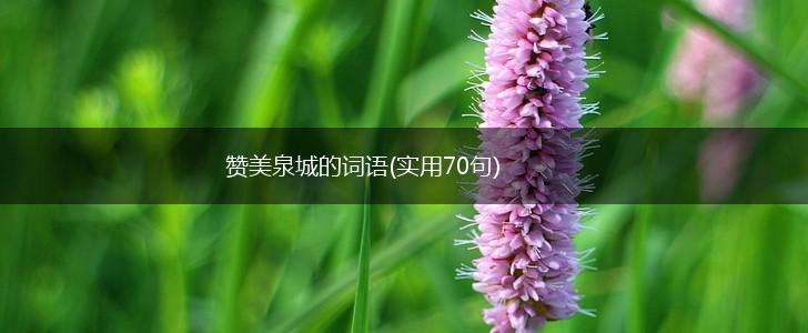 赞美泉城的词语(实用70句),第1张