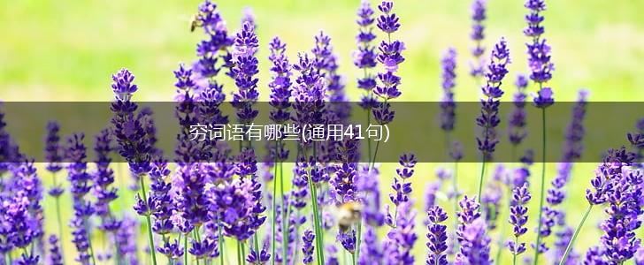 穷词语有哪些(通用41句),第1张