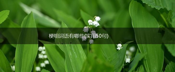 梗组词语有哪些(实用50句),第1张