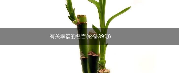 有关幸福的名言(必备39句),第1张