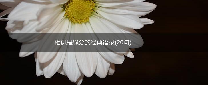 相识是缘分的经典语录(20句),第1张