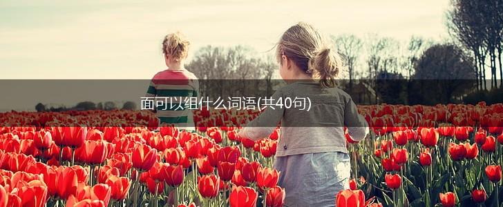 面可以组什么词语(共40句),第1张