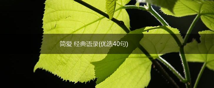 简爱 经典语录(优选40句),第1张