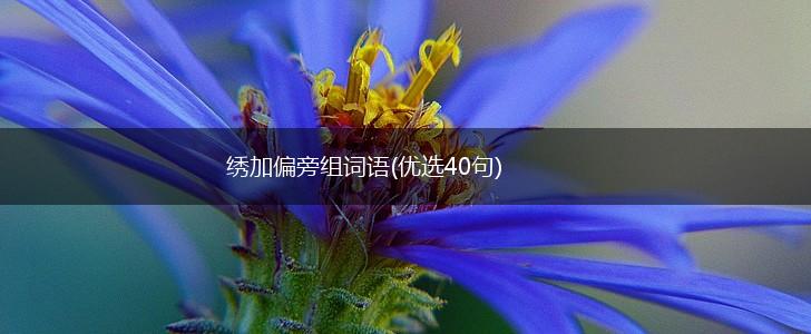 绣加偏旁组词语(优选40句),第1张