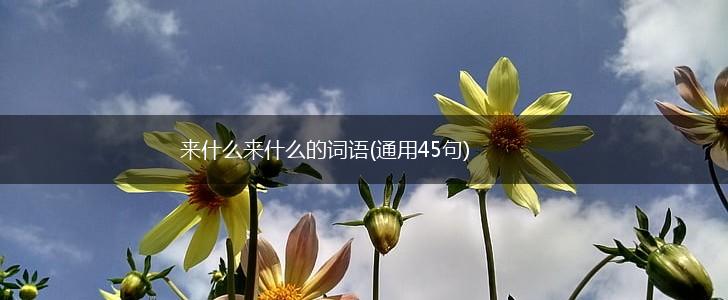 来什么来什么的词语(通用45句),第1张
