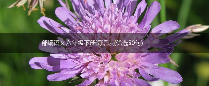 部编语文六年级下册词语表(优选50句),第1张