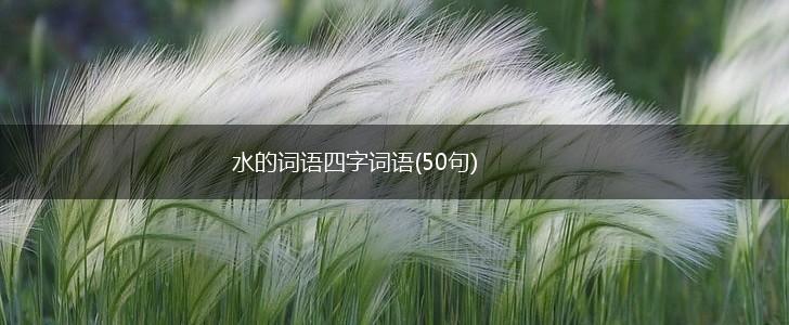 水的词语四字词语(50句),第1张