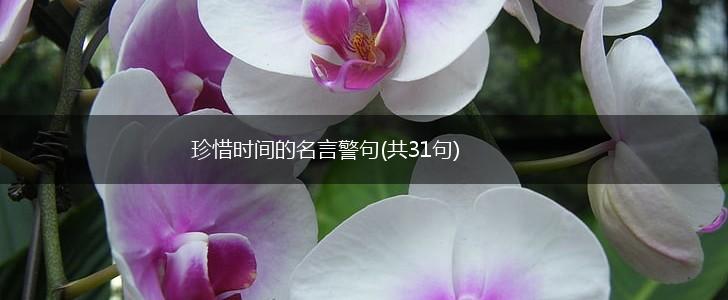 珍惜时间的名言警句(共31句),第1张