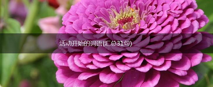 活动开始的词语(汇总31句),第1张