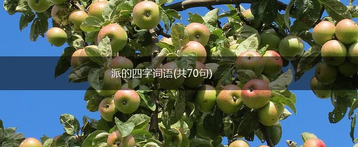 派的四字词语(共70句),第1张
