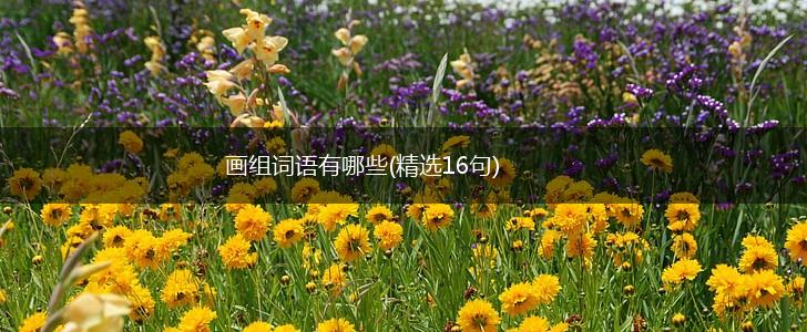 画组词语有哪些(精选16句),第1张 画组词语有哪些(精选16句),第1张