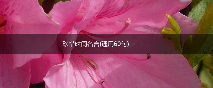 珍惜时间名言(通用60句),第1张 珍惜时间名言(通用60句),第1张