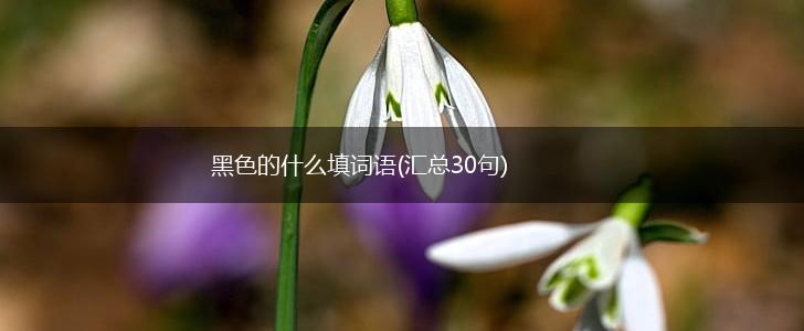 黑色的什么填词语(汇总30句),第1张