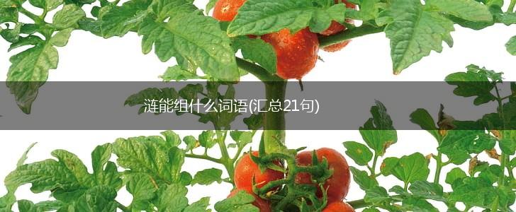 涟能组什么词语(汇总21句),第1张