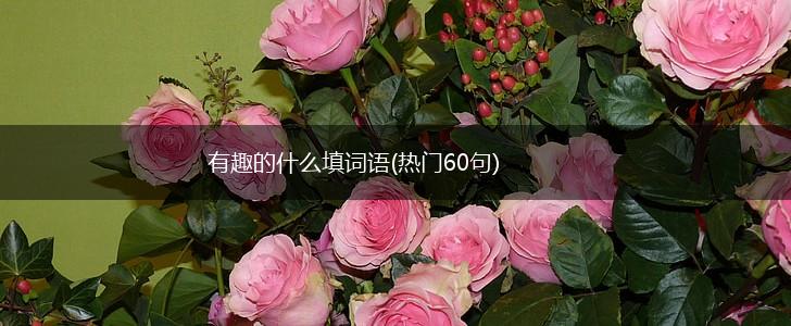 有趣的什么填词语(热门60句),第1张