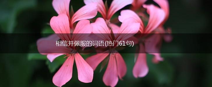 相信并佩服的词语(热门61句),第1张