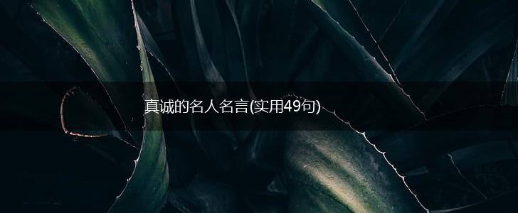 真诚的名人名言(实用49句),第1张