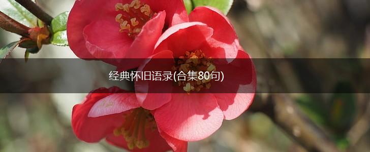 经典怀旧语录(合集80句),第1张