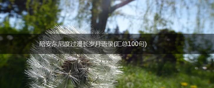 陪安东尼度过漫长岁月语录(汇总100句),第1张