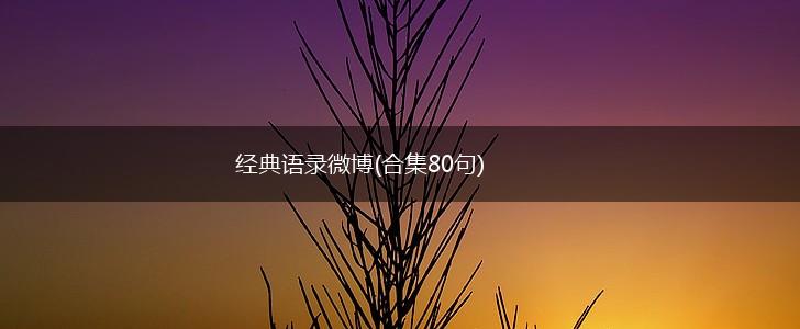经典语录微博(合集80句),第1张