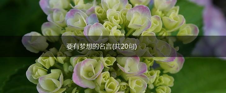 要有梦想的名言(共20句),第1张