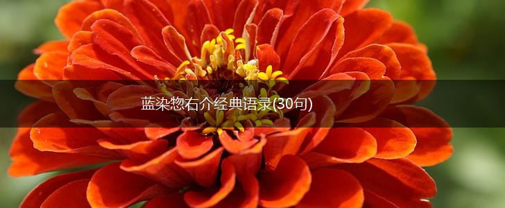 蓝染惣右介经典语录(30句),第1张
