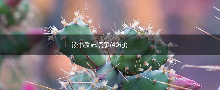 读书励志语录(40句),第1张