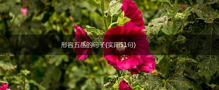 形容五岳的句子(实用51句),第1张
