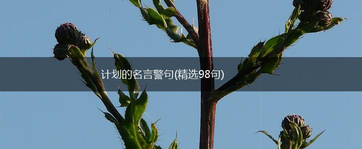 计划的名言警句(精选98句),第1张