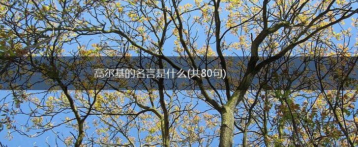 高尔基的名言是什么(共80句),第1张