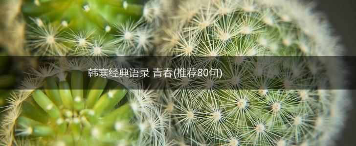 韩寒经典语录 青春(推荐80句),第1张