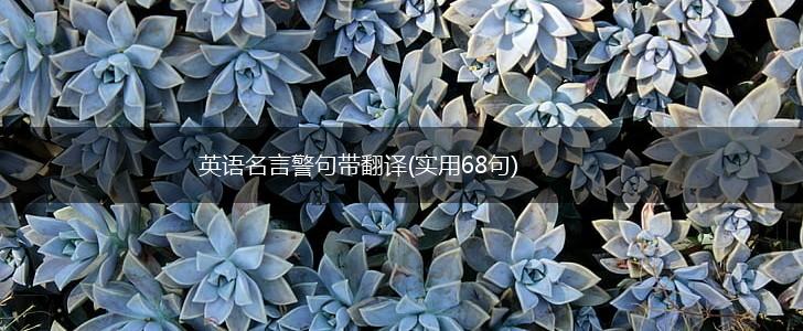 英语名言警句带翻译(实用68句),第1张 英语名言警句带翻译(实用68句),第1张