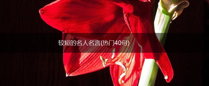 较短的名人名言(热门40句),第1张 较短的名人名言(热门40句),第1张