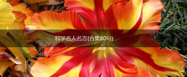 科学名人名言(合集80句),第1张